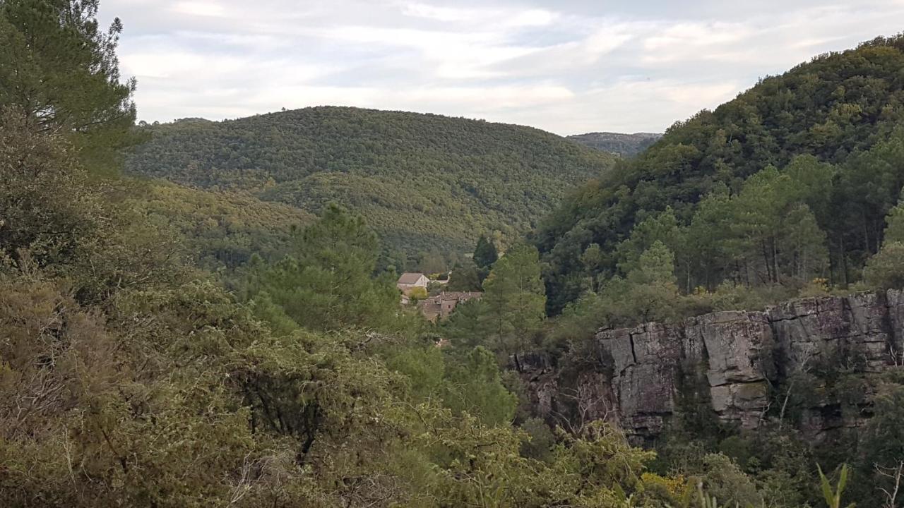 Le Clos Du Cedre Saint-Sebastien  Exterior photo